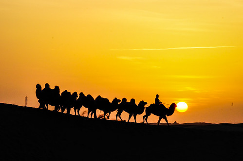 china sunrise desert inner mongolia camels 内蒙古 jaran 额济纳 2013 badain 巴丹吉林沙漠 nex5r
