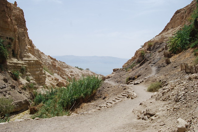 En Guedi Spa, Parque Nacional de EnGuedi y Mar Muerto - A la búsqueda de la piedra antigua. (16)
