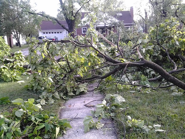 Storm damage and aftermath
