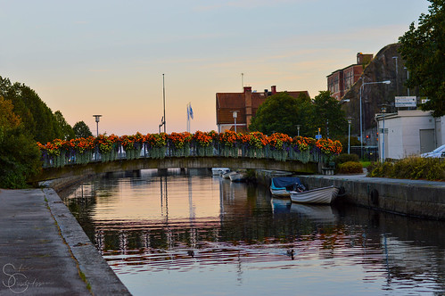 city bridge flowers sunset sky environment karlshamn