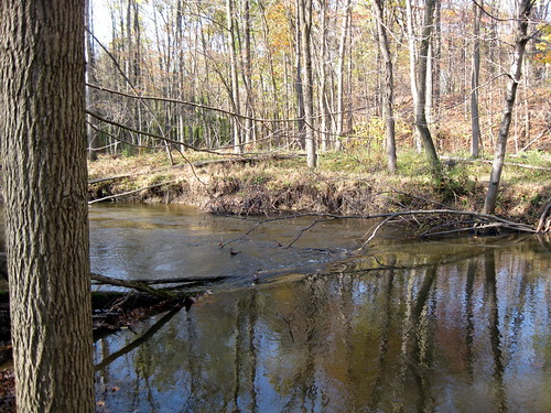 fall nature water creek formar