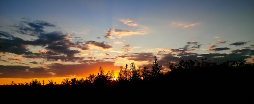 park new camping sunset ontario earl googleearth rowe provincial tecumseth 93793499n00 volume8