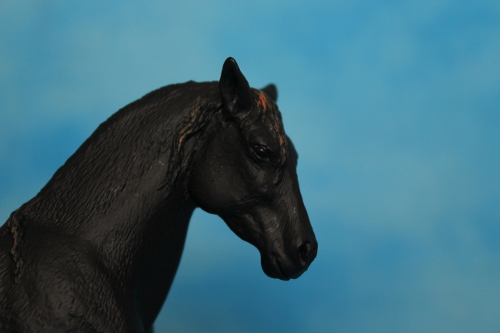 Walkaround of the 2012 Mojö Andalusian Stallions and comparison with Schleich Andalusian 14389034979_e56ed1e6f7