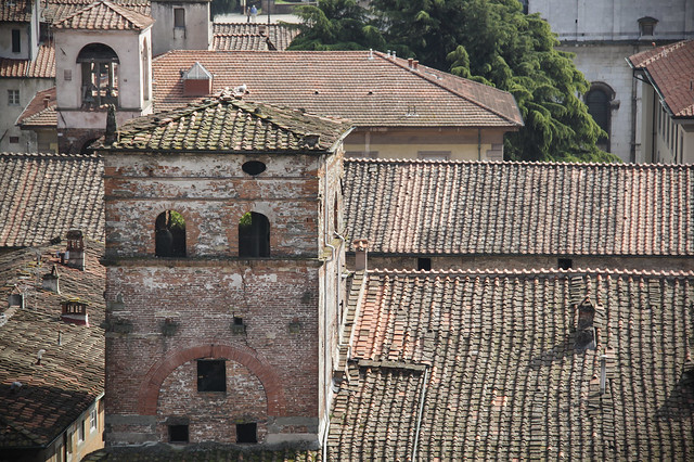 Guinigi Tower, Lucca