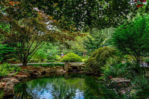 gardens georgia japanese unitedstates japanesegardens gibbs ballground gibbsgardens