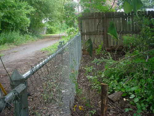 bare fence 2