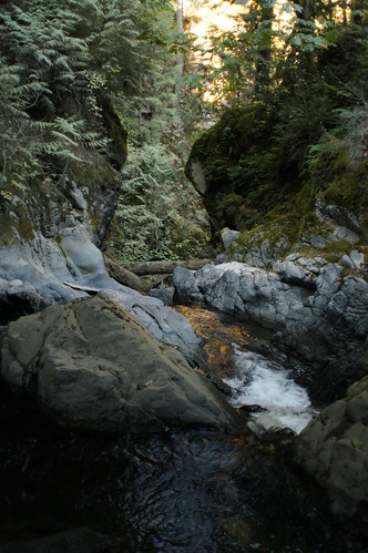 canada creek bc canyon harrisonlake walian
