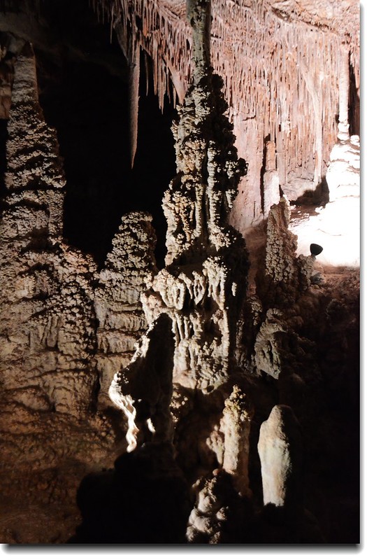 Stalagmites in Lehman Caves 1