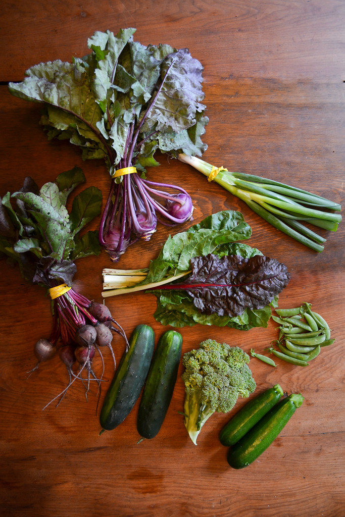 Farmer's Market and CSA Series {Week 6} | Things I Made Today