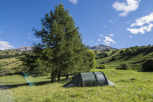 morning travel camping sleeping wild camp france mountains alps tree green sunrise french free tent flare stealth traveling francia larche freecamping wildcamping stealthcamping provenzaalpescostaazul
