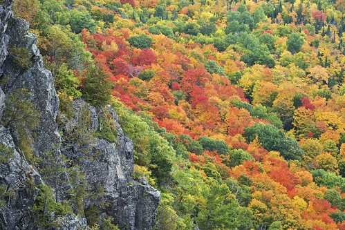 autumn trees ontario canada leaves weather forest landscape view hiking fallcolors scenic sunny rockface vantage northernontario fallcolours canadianshield goulaisriver algomahighlands voyageurtrail robertsoncliffs robertsonlakecliffs vankoughnettownship fujixe1 fall2014 xf55200mm