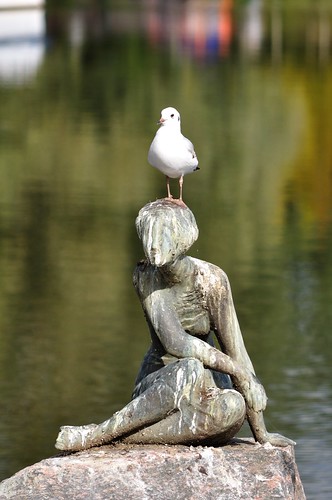 deutschland seagull skulptur möwe eutin karlheinzgoedtke dieschauende