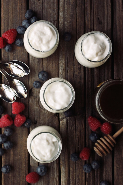 How-to Make Coconut Milk Yogurt
