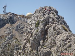 Morro d'en Pelut i Puig Major (42)