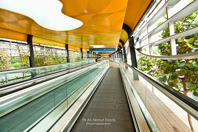 singapore-4d3n-sentosa-boardwalk-vivocity-singapore