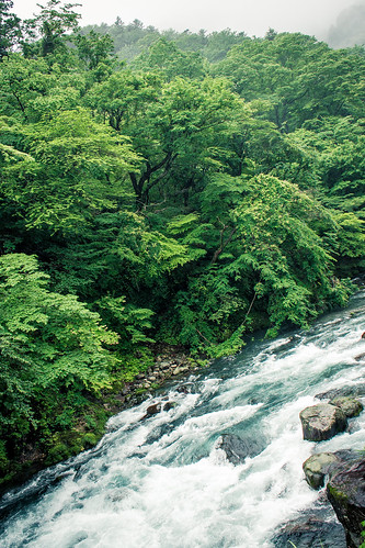 wood green rain japan river nikko nikkō