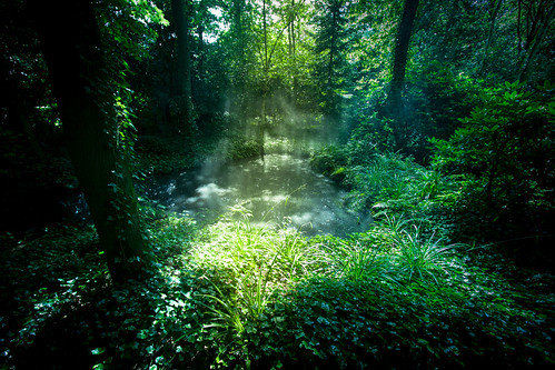 green forest canon groen 1022mm sunray eos550d