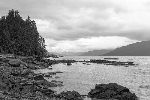 blackandwhite bw beach alaska landscape 500 wrangell petroglyphbeach