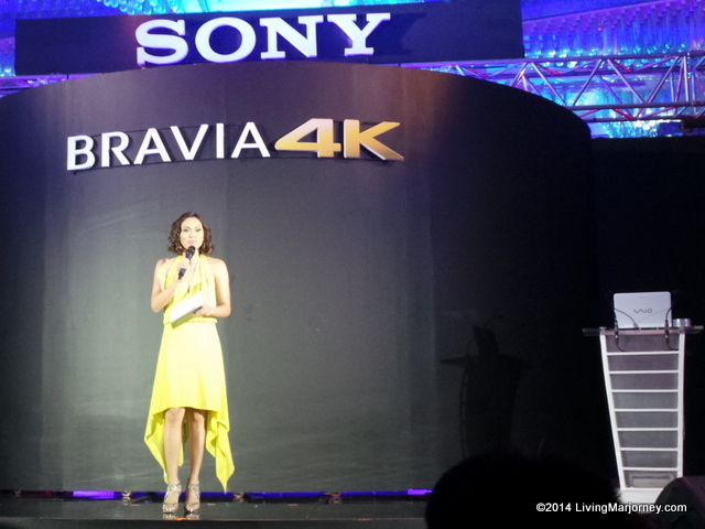 Sony Bravia 4k Experience