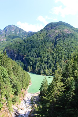 mountain lake green forest nps recreation northcascades