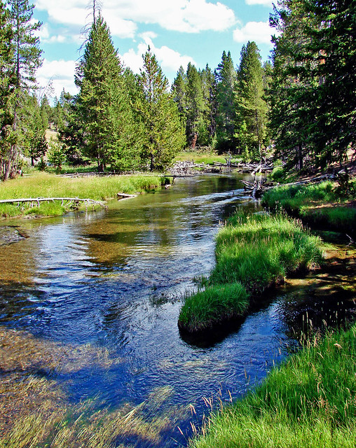 F. Old Firehole River, Yellowstone 9-11