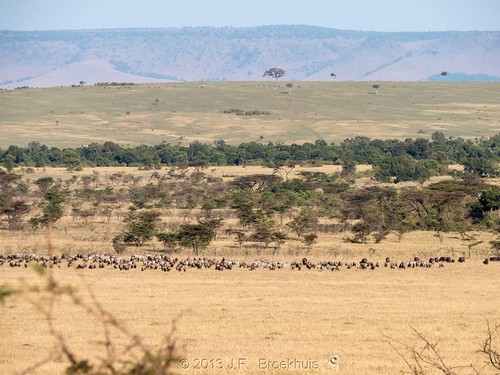 africa landscape kenya mara omc masaimara olare olaremotorogiconservancy olaremotorogi predatorhub