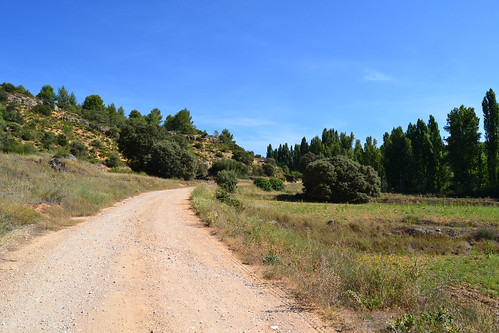 landscape camino paisaje