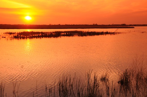 road sunset robert water wisconsin wildlife national ledge marsh wi kramer refuge horicon on the mayville