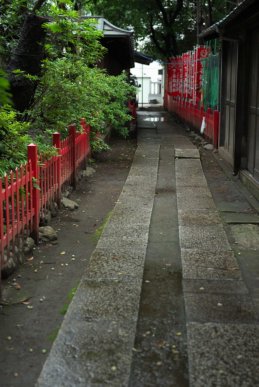 東京路地裏散歩 上野 下谷神社 2015年7月5日