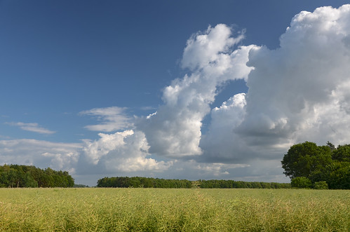 clouds rural landscape deutschland day cloudy himmel wolken agriculture landschaft acker niedersachsen lowersaxony barnstorf