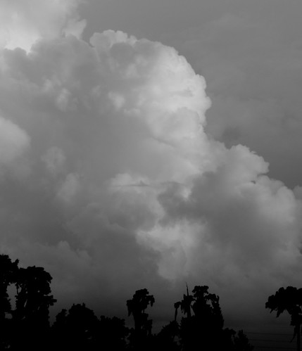 florida thunderstorm landolakes pascocounty