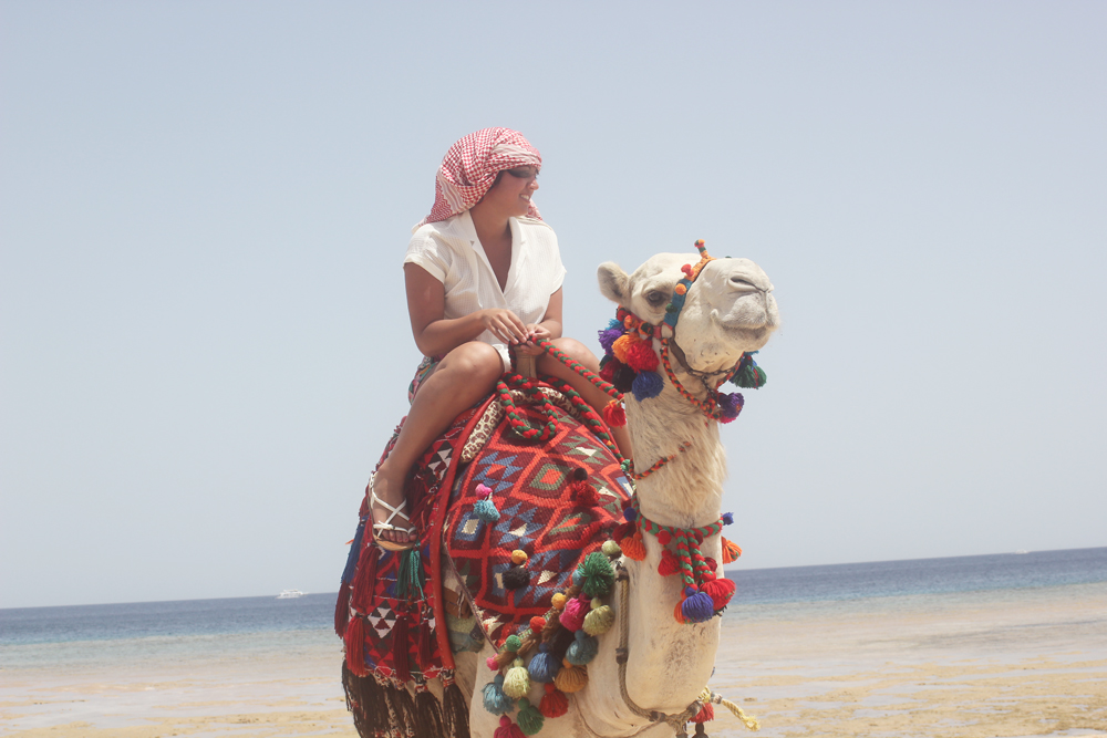 Casanova camel Facebook egypt sensatori sharm el sheikh laila arab bedouin arabic arabia travelling on a camel