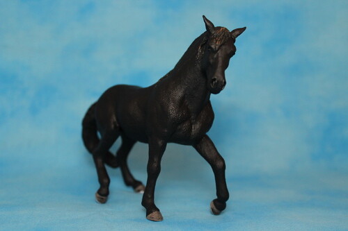 mojo - Walkaround of the 2012 Mojö Andalusian Stallions and comparison with Schleich Andalusian 14573888074_e31822bfc5