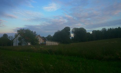 houses sky grass