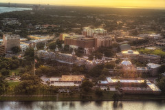 University of Tampa Sunset Glow