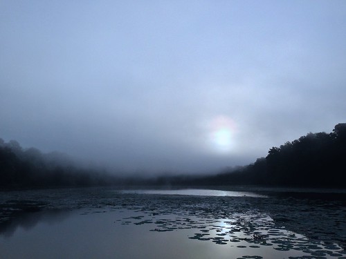 morning mist lake fog sunrise landscape outdoors photostream