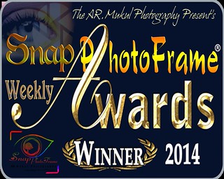 Snap PhotoFrame Winner20141