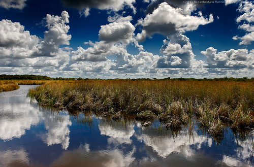 travel sky panorama usa reflection water grass clouds river landscape florida swap everglades riccardo mantero potd:country=it