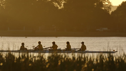 ballarat victoria australia lakewendouree wetland rowers sunrise rowingboat rowingcourse reeds