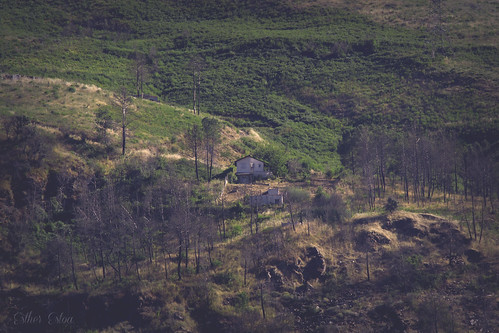 trees españa house mountain green home canon photography spain galicia 7d lonely 365 montaña burgos solitario valdeorras 365days obarco 365project estherestoa