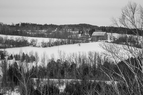 winter blackandwhite bw ontario monochrome landscape conservationarea omemee
