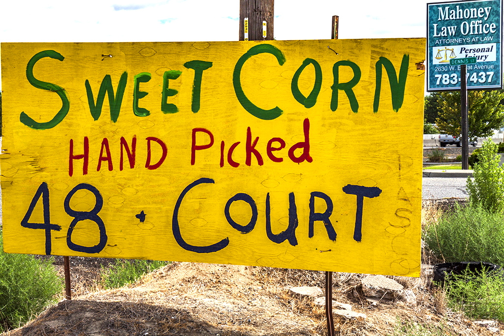 Sweet-Corn--Kennewick