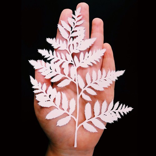 fern-papercutting