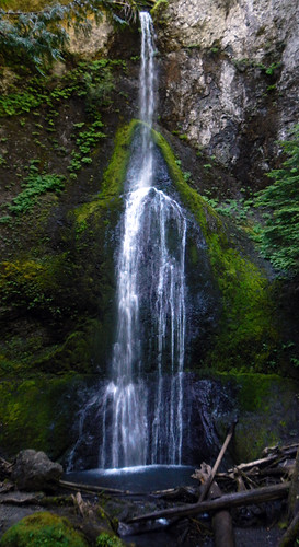 Marymere Falls in Olympic National Park, Washington