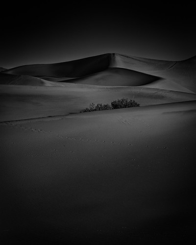 bw blackwhite blackandwhite deathvalley deathvalleynationalpark dunes lowkey mesquitedunes monochrome morning nationalpark park sand sanddunes sunrise stovepipewells california unitedstates us dvnp