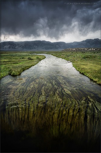 california storm seaweed clouds creek river landscape hotsprings easternsierras hotcreek