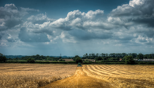 uk england sky oneaday barley clouds countryside suffolk interesting nikon flickr farming harvest creativecommons photoaday half mostinteresting 365 essex hdr pictureaday d800 harvesting uttlesford brantham project365202 flickriver markseton project365210714