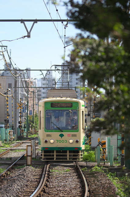 Tokyo Train Story 夏の都電荒川線 2014年8月15日
