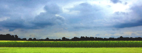 cloud storm field clouds corn indiana