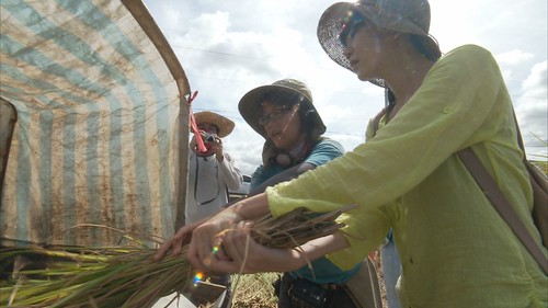 返回農村的吳佳玲苦心學習農事技術。